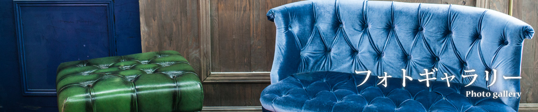 フォトギャラリー